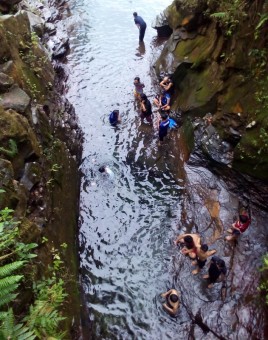 Dare you to cliff jump?