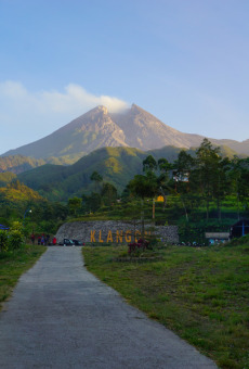 Keindahan lereng Merapi