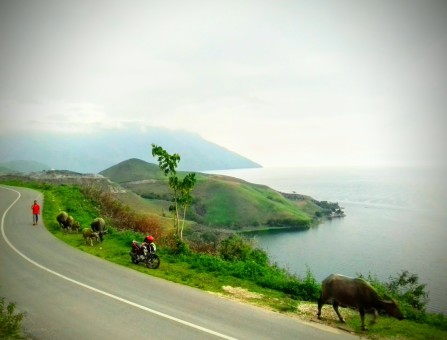 Senja Toba dan Si Gembala Bermotor