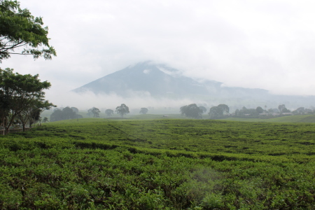 Gunung Dempo Nan Indah