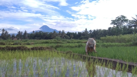 Merapi Tercinta