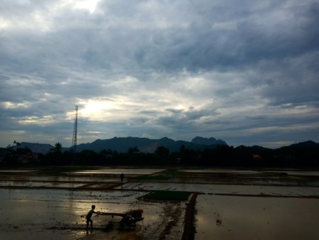 Membajak Sawah