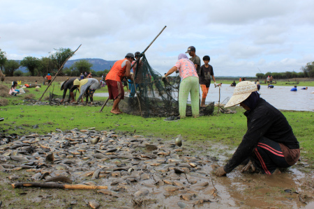 Saat ikan melimpah