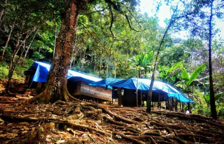 Gubuk di tengah hutan Batang Toru
