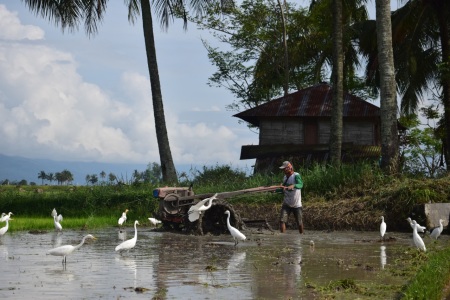 Bersahabat