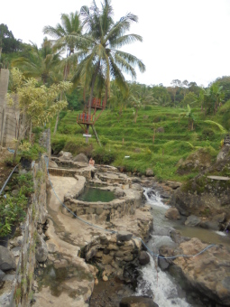 Sumber Air Panas di Area Persawahan Terasering