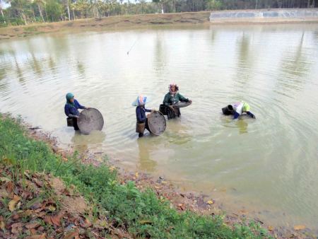 Ibu Pencari Keong Sawah