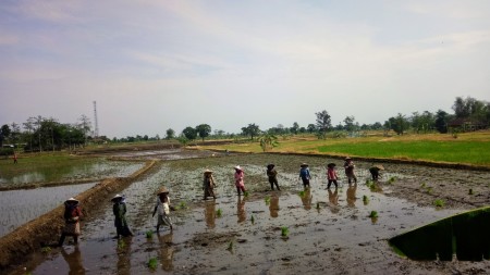 Pejuang pangan Indonesia