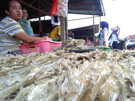 Ikan Kering Danau Tempe