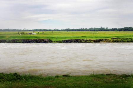 Rhein II From Indonesia