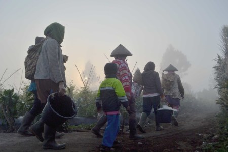 Bersama Pergi Ke Kebun