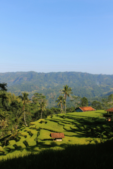 Terapi Mata