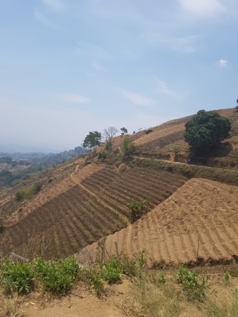 Terasering Argapura Majalengka