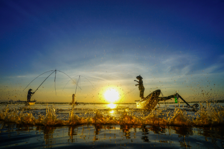 Nelayan menjaring ikan