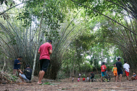 Lahan Bambu