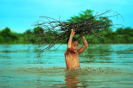 Mancari kayu api