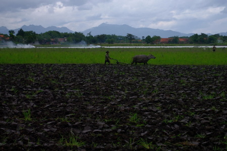 Desa ku tak seindah dulu kala