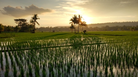 Senja di ujung mata