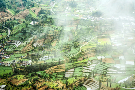 RURAL SCAPE DIENG