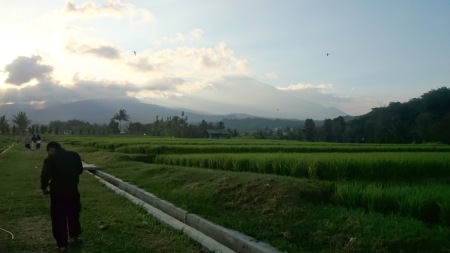 Ladang Nusantara