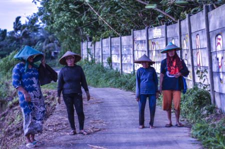 petani berkerja keras