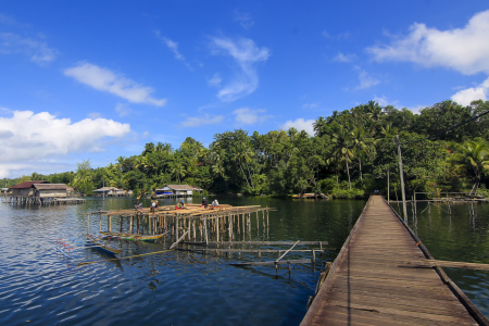 PONDASI RUMAH SERIBU KAKI