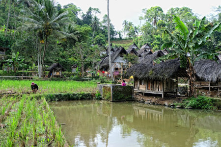 Aktivitas di Kampung Naga