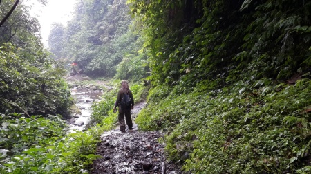 Menyusuri Jalan Setapak