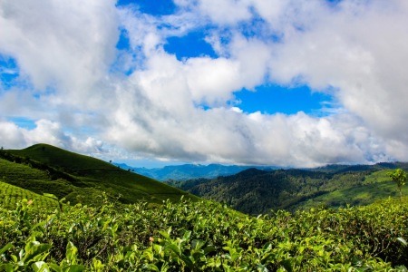 Menggapai Bukit