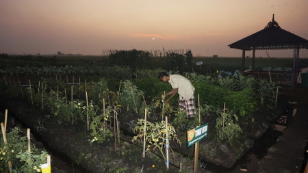 Sunrise di desa jejangkit