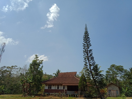 Rumah panggung