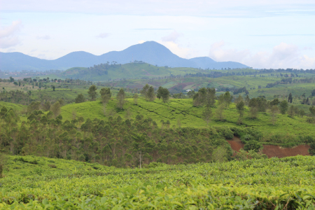 Alam indah di kampung srikandi, desa wanasuka, pangalengan