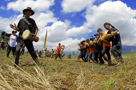 Bambu Gila