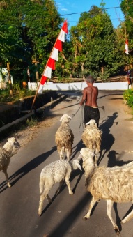 Bergantung dengan alam