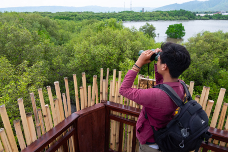 Wisata edukasi Kampung blekok, Desa Klathakan