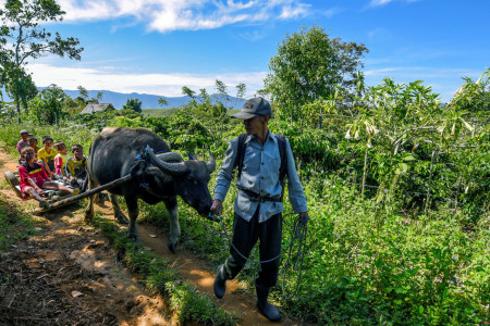 Jalan Ke Kebun