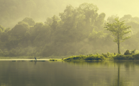 Suatu Pagi di Danau