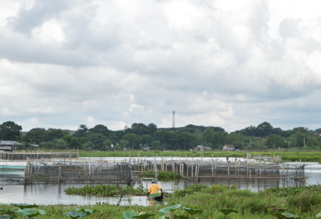 mencari ikan