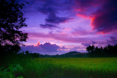 Suasana Kampung Halamanku