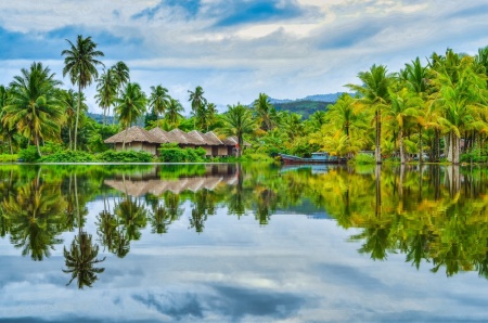 Refleksi Nyiur Kelapa