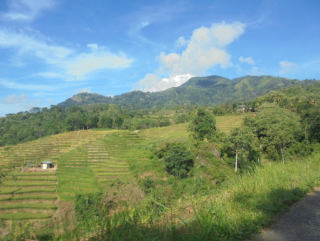 Pemandangan alam di Kampung