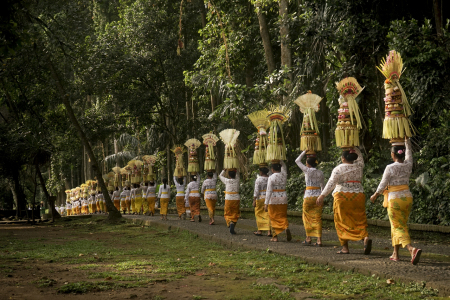 Peed Geriana Sangeh