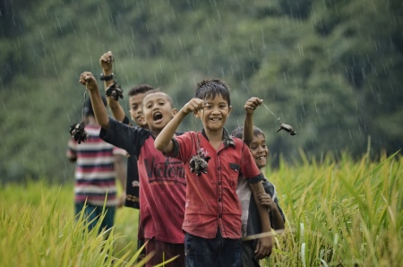 Sawah tempat kami bermain dan bercanda tawa