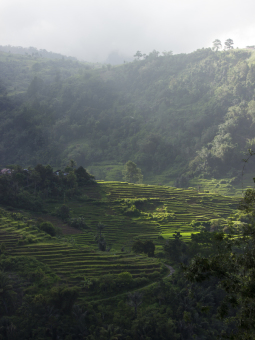 Cahaya Sore di Marambuang