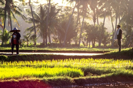 kembali setelah senja