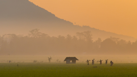 Pagi Yang Cerah