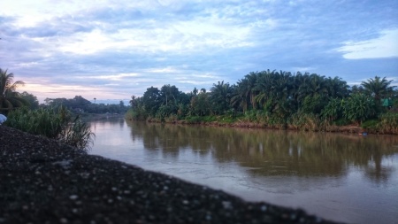 Suasana pagi hari di sekitar sungai tamiang