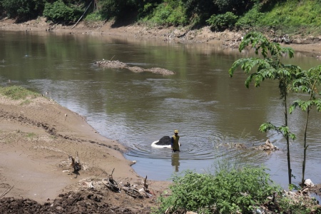 Pencari Pasir di Sungai Bengawan Solo