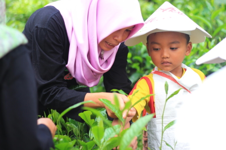 Belajar Berkebun