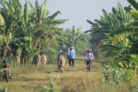 Bertani dan menggembala